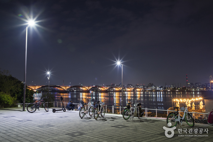 [ソウル] 蘭芝漢江公園（난지한강공원）