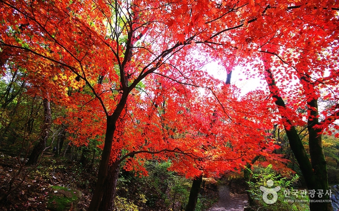 [ソウル] 冠岳山（관악산）