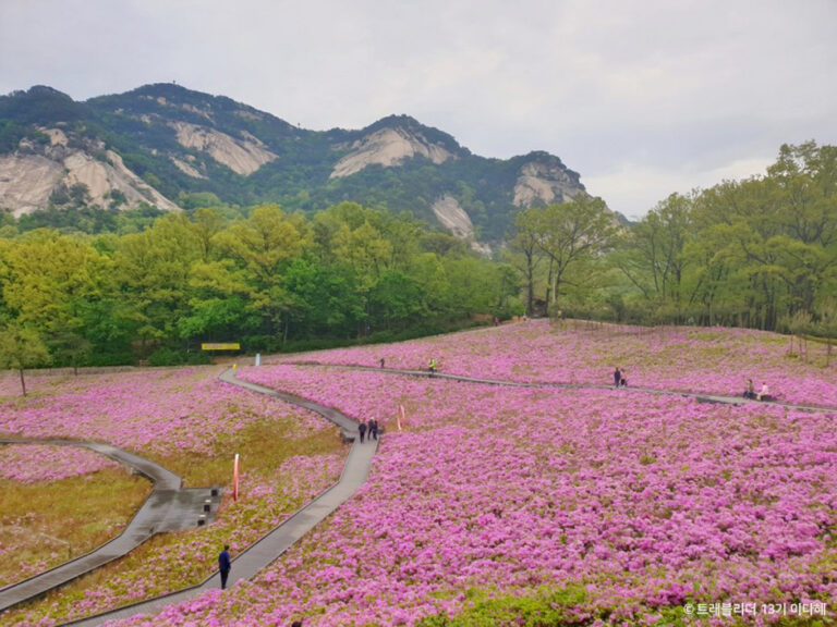 [ソウル] 仏岩山蝶庭園（불암산나비정원）