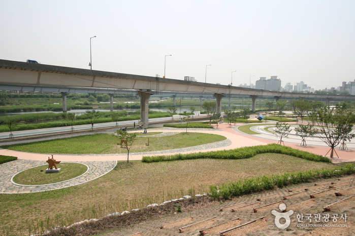 [ソウル] サルゴジ体育公園（살곶이 체육공원）