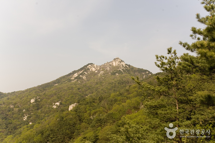 [ソウル] 仏岩山（불암산）
