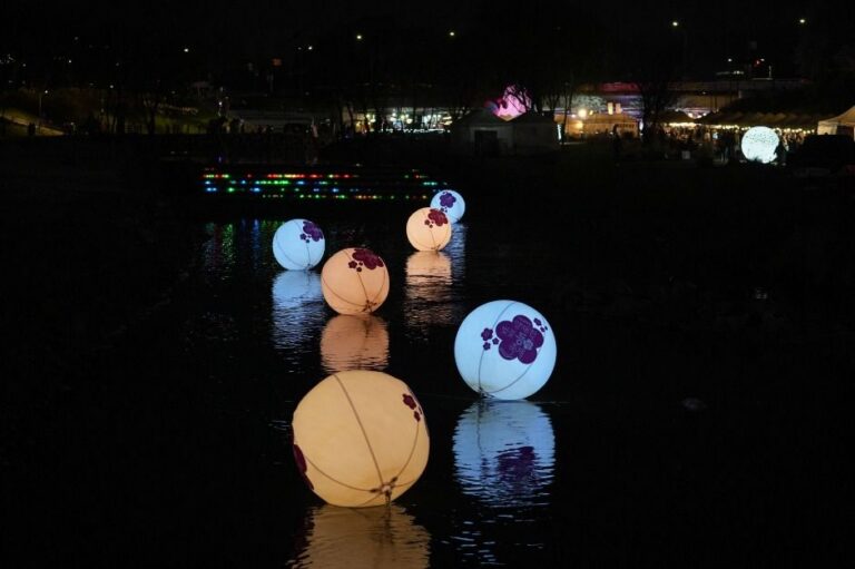 [ソウル] 良才川桜灯祭り（양재천 벚꽃 등（燈）축제）