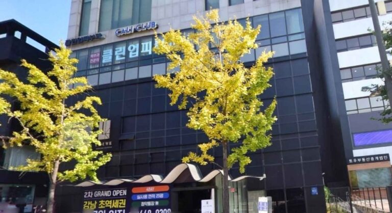 [ソウル] [事後免税店] チョンダム（清潭）クリーンナップ皮膚科医院（청담 클린업 피부과의원）