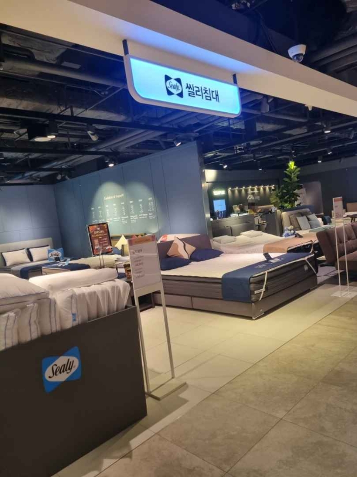 [ソウル] [事後免税店] Sealy（シーリー）ベッド（씰리침대）