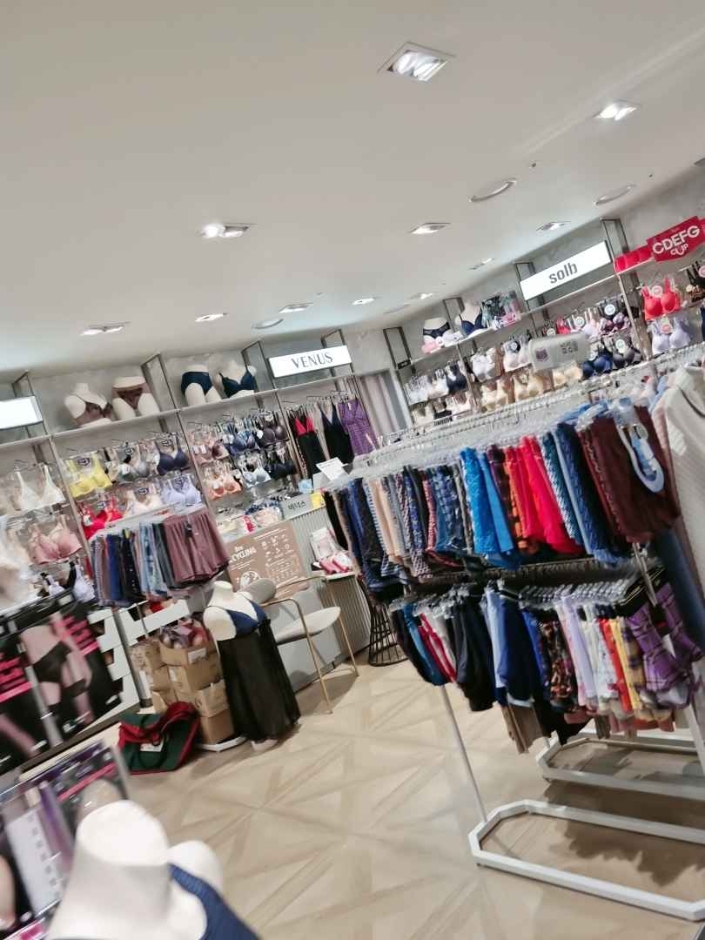 [ソウル] [事後免税店] VENUS（ビーナス）（비너스）