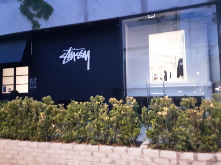 [ソウル] [事後免税店] Stüssy（ステューシー）ソウル・アプクジョン（狎鴎亭）（스투시서울 압구정）