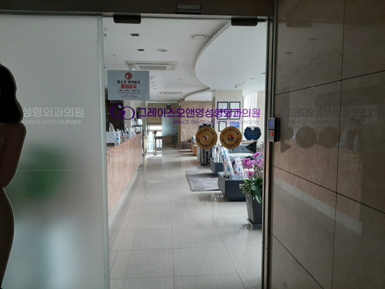 [ソウル] [事後免税店] グレース美容整形外科（그레이스 성형외과）