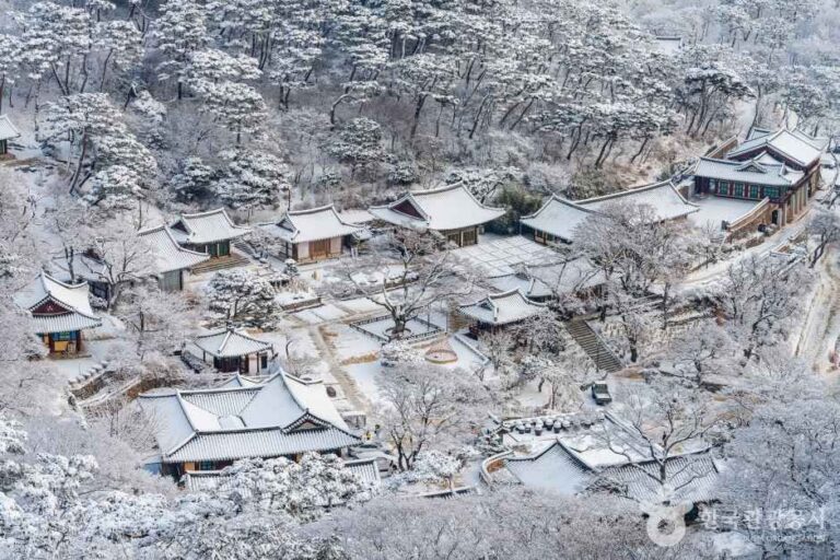 [仁川] 江華 伝灯寺（강화 전등사）