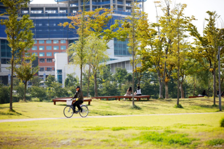 [仁川] 松島ドッグパーク（송도 도그파크）