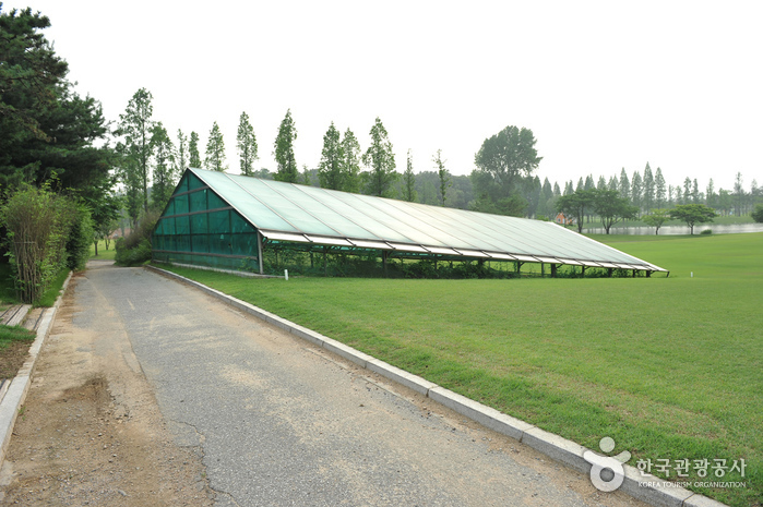 [仁川] 仁川景西洞 緑青瓷窯址（인천 경서동 녹청자 요지）