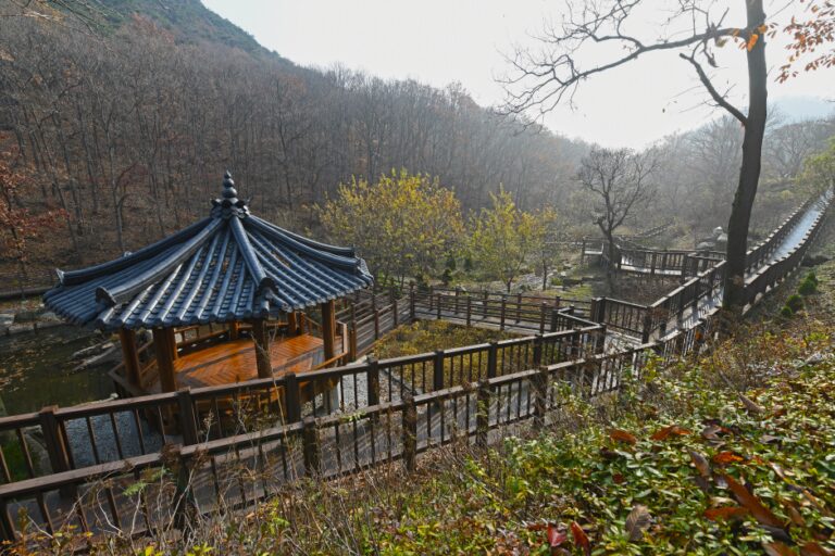 [仁川] 席毛島樹木園（석모도 수목원）