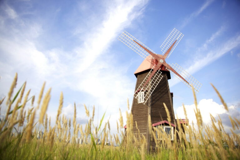 [仁川] 蘇莱湿地生態公園（소래습지생태공원）