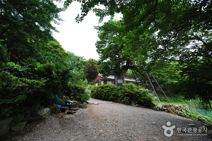 [仁川] 龍宮寺（仁川）（용궁사（인천））
