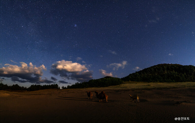 [仁川] 大青島（대청도）