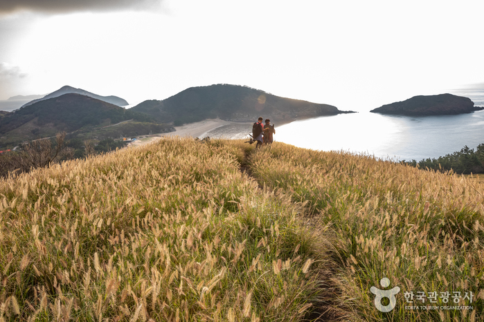 [仁川] 掘業島（굴업도）