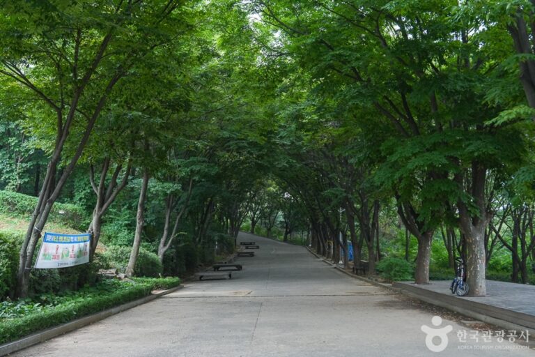 [仁川] 桂陽山トゥルレ道（계양산둘레길）