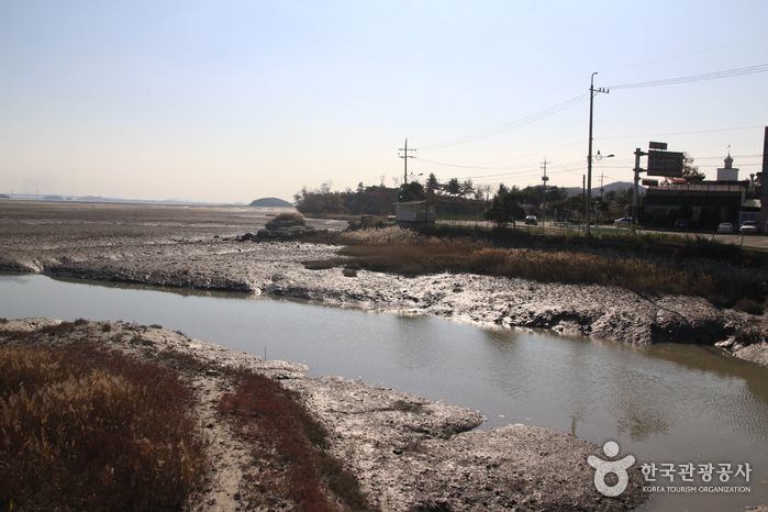 [仁川] [江華ナドゥルキル第8コース]渡り鳥の道（[강화 나들길 제8코스] 철새 보러 가는 길）
