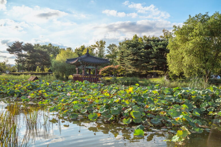 [大田] 裕林公園（유림공원）