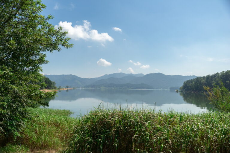 [大田] 大清湖五百里キル（대청호오백리길）