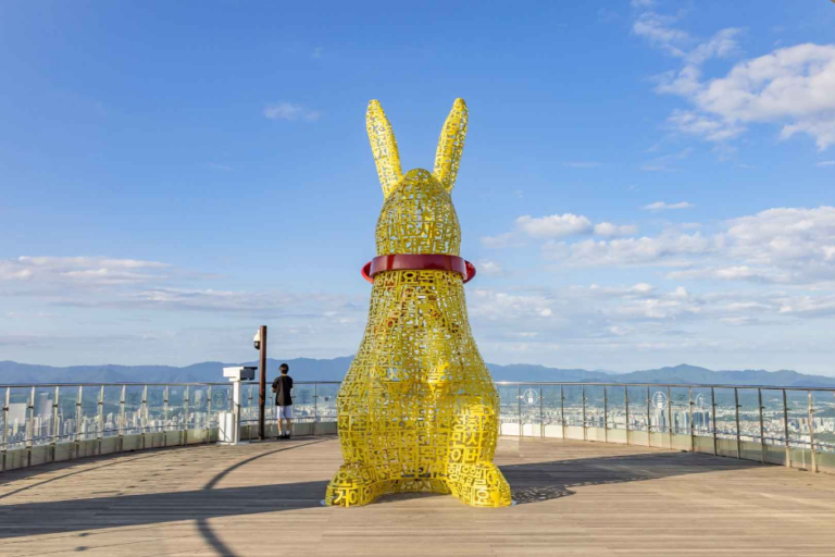 [大邱] アプ山ケーブルカー（アプ山展望台）（앞산 케이블카（앞산 전망대））