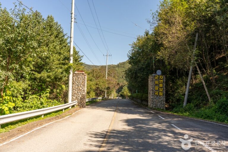[大邱] 軍威長谷自然休養林（군위 장곡자연휴양림）