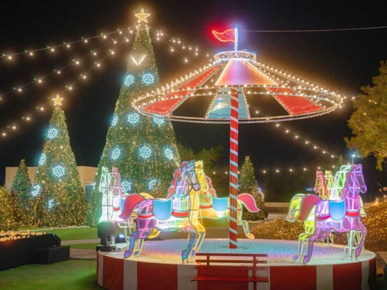 [大邱] アプ山クリスマスフェスティバル（앞산크리스마스축제）