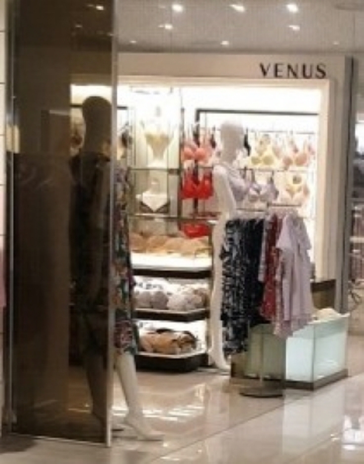 [大邱] [事後免税店] VENUS（ビーナス）（비너스）