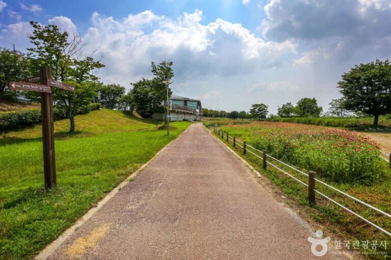 [光州] 栄山江自転車道（영산강 자전거길）