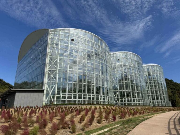 [光州] 光州市立樹木園（광주시립수목원）