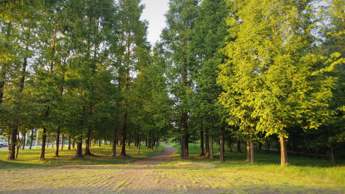 [光州] 市民の森キャンプ場（시민의 숲 야영장）