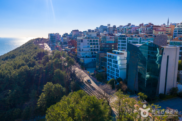 [釜山] 海雲台タルマジギル（해운대 달맞이길）