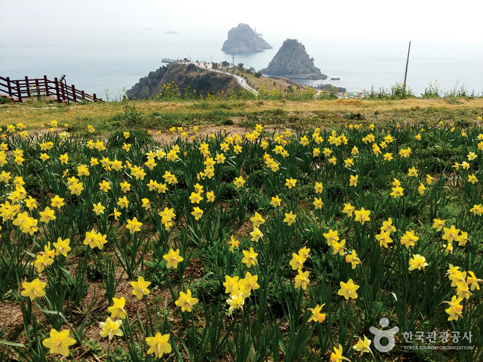 [釜山] 五六島（釜山国家地質公園）（오륙도 （부산 국가지질공원））