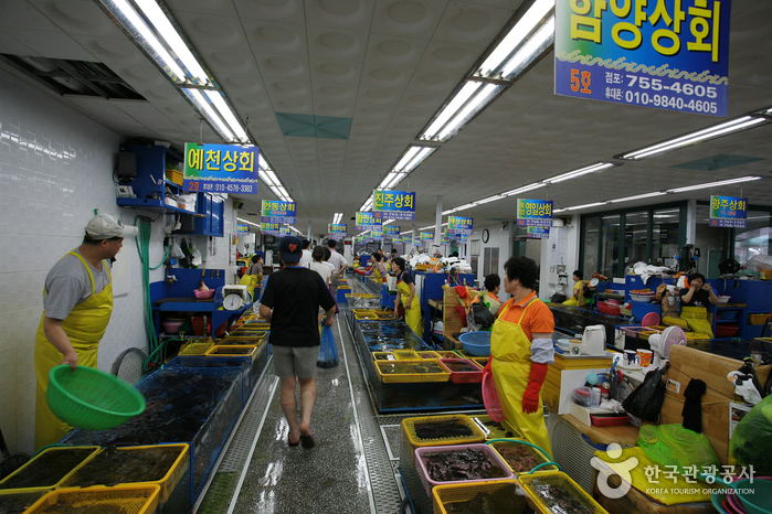[釜山] 民楽漁民活魚直販場（민락어민활어직판장）