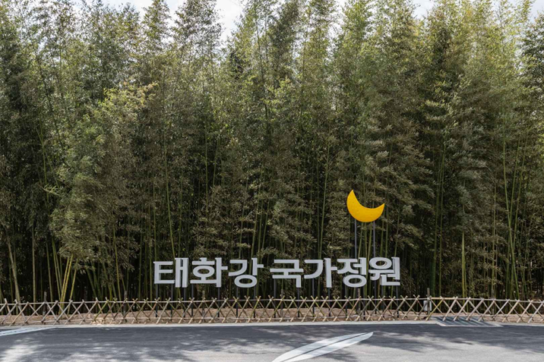 [蔚山] 太和江国家庭園（태화강 국가정원）