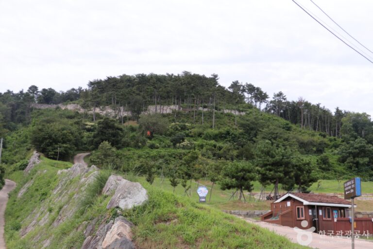 [蔚山] 西生浦倭城（서생포왜성）