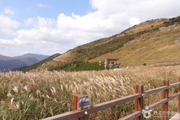 [蔚山] 蔚山十二景（울산 12경）