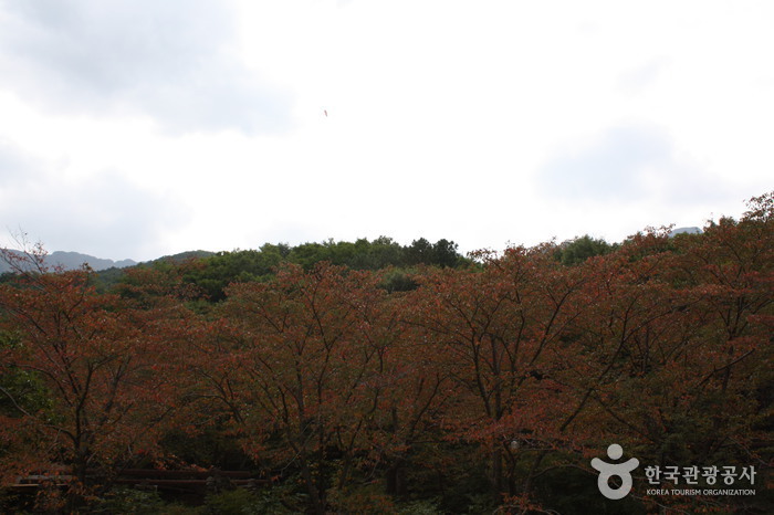 [蔚山] 神仏山郡立公園（신불산군립공원）