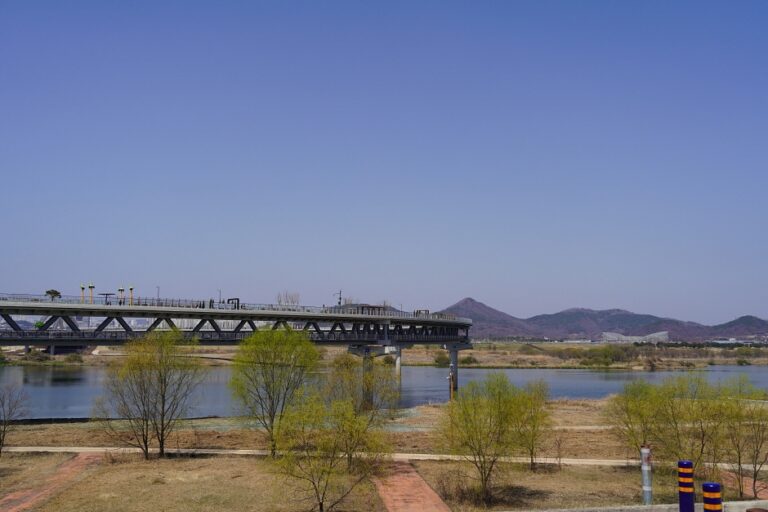 [世宗] 錦江歩行橋（금강보행교）