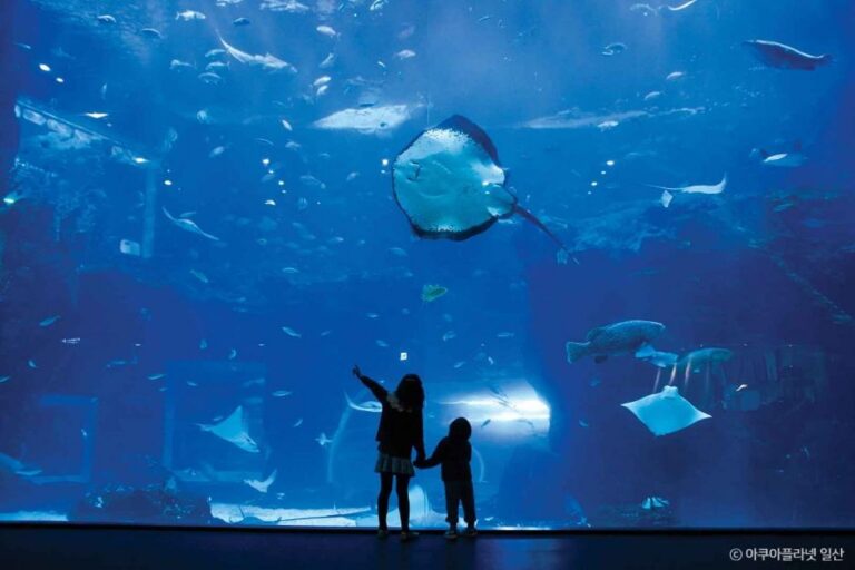 [京畿道] アクアプラネット一山（아쿠아플라넷 일산）