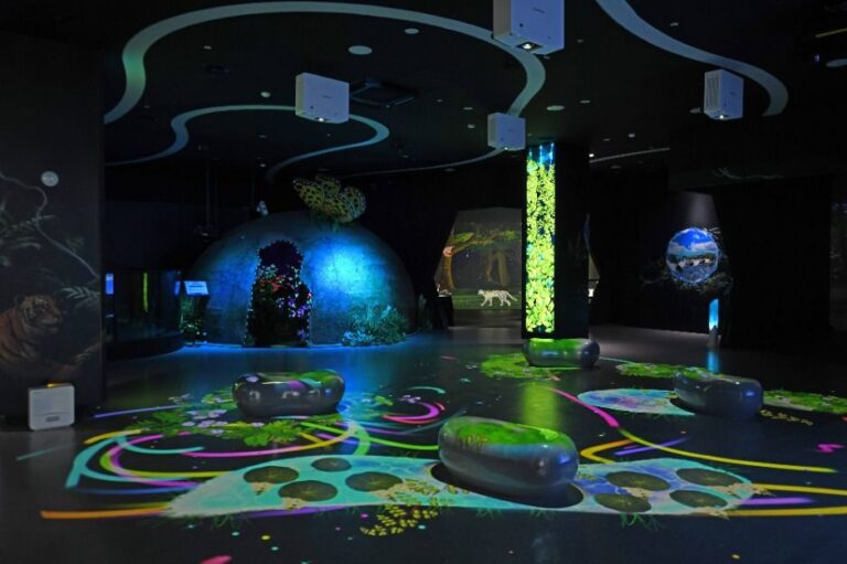 [京畿道] DMZセンセンヌリ（DMZ 생생누리）