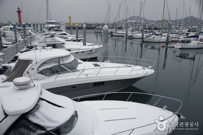 [京畿道] 前谷港（전곡항）