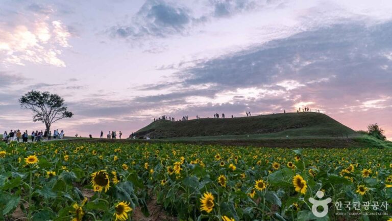 [京畿道] 漣川瓠蘆古塁（연천 호로고루）