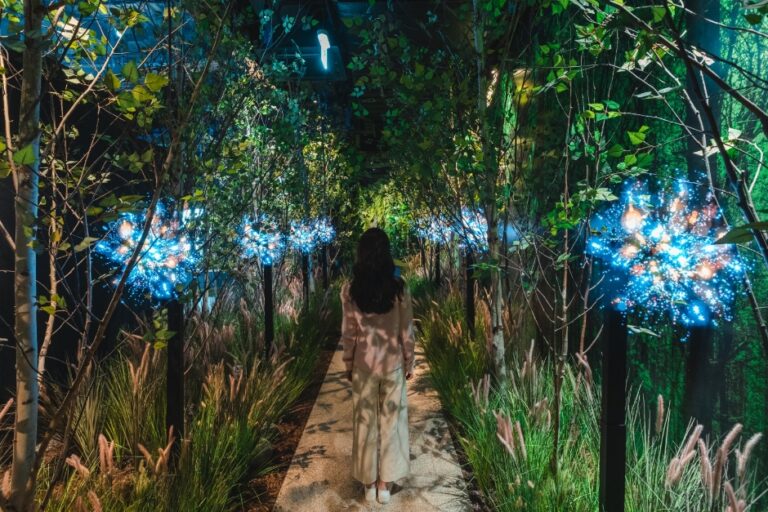 [京畿道] ディスカバリーネイチャースケープ東灘店（디스커버리 네이처스케이프 동탄점）