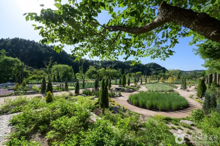 [京畿道] The Stay HEALING PARK（더스테이힐링파크）