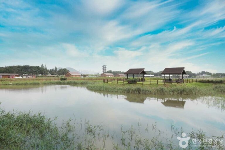 [京畿道] 始興ケッコル生態公園（시흥 갯골생태공원）