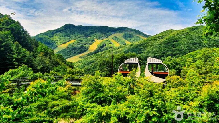 [京畿道] ファダムスプ（和談の森）（화담숲）