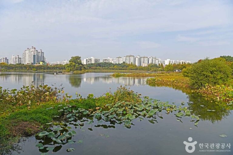 [京畿道] 万石渠公園（만석거공원）