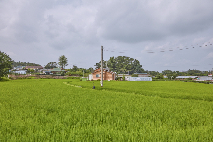 [京畿道] 利川ドニウル名品米村（이천 도니울 명품쌀마을）
