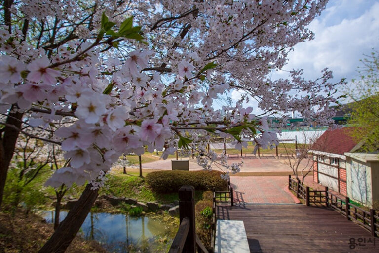 [京畿道] 器興湖水公園ドッグラン（기흥호수공원 반려동물놀이터）