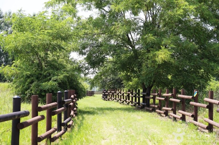 [京畿道] 康川島（강천섬）